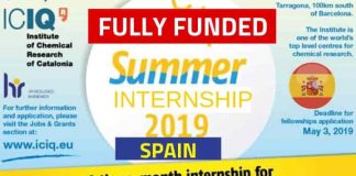 ICIQ Summer Internship in Spain