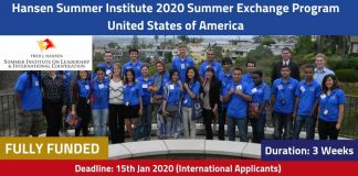 Hansen Summer Institute 2020
