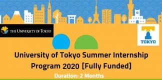 University of Tokyo Summer Internship in Japan