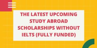 Study Abroad Scholarships Without IELTS