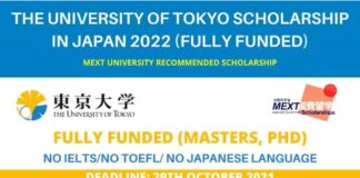 The University of Tokyo Scholarship in Japan 2022