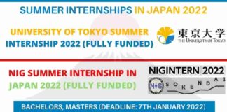Summer Internships in Japan