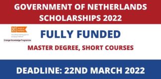 Government of Netherlands Scholarships