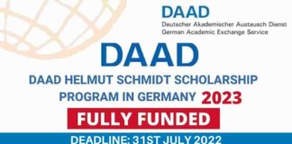 Helmut Schmidt Scholarship