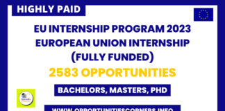 EU Internship Program 2023
