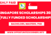 Singapore Scholarships 2023 | Study in Singapore | Fully Funded