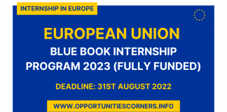 European Union Internship 2023