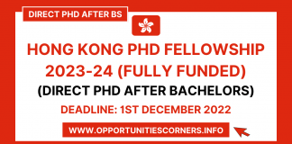Hong Kong PhD Fellowship 2023