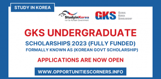 Global Korea GKS Undergraduate Scholarship 2023