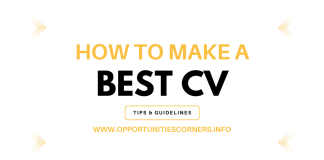 How to Make the Best CV