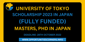University of Tokyo Scholarship 2023