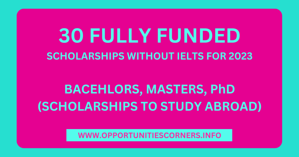 30 Scholarships Without IELTS 