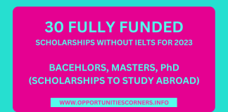 30 Scholarships Without IELTS