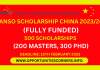 ANSO Scholarship China 2023