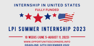 LPI Summer Internship 2023