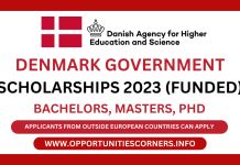 Denmark Government Scholarships 2023