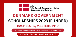 Denmark Government Scholarships 2023